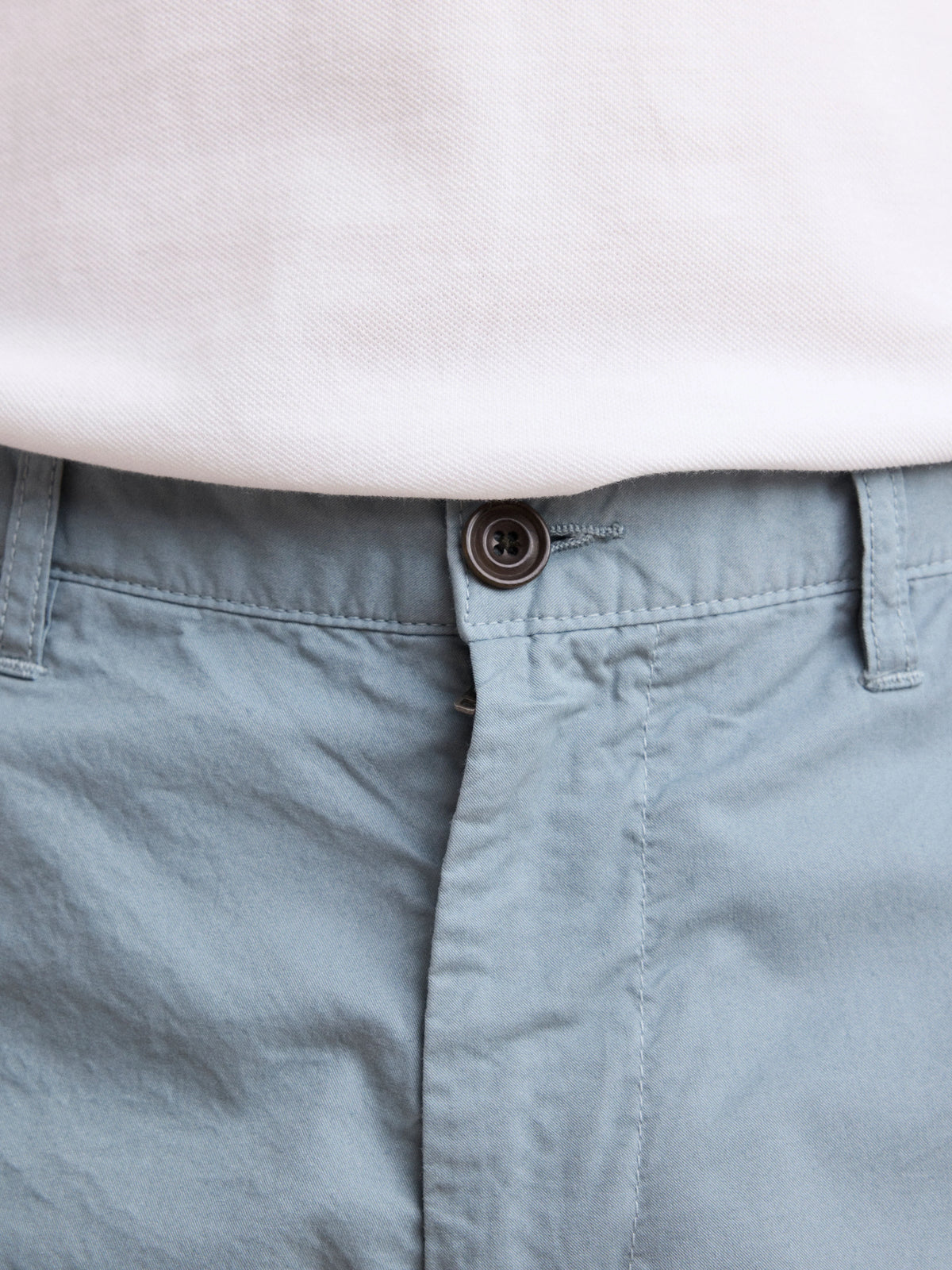 Celadon Green Regular Fit Short